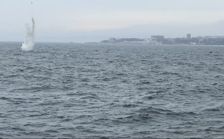 Унищожиха морска мина в морето край Варна