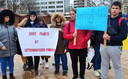 От Ветеринарната гимназия в Добрич поискаха нов конкурс за директор на училището