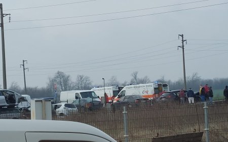 Двама са тежко пострадали при катастрофата на изхода на Добрич от тази сутрин