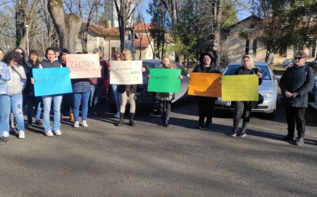 Родители на ученици и бивши възпитаници на Ветеринарната гимназия призоваха новата директорка сама да се оттегли