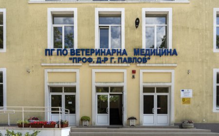 МОН назначи проверка на конкурса за директор в ПГВМ – Добрич след въпрос на Ивайло Мирчев