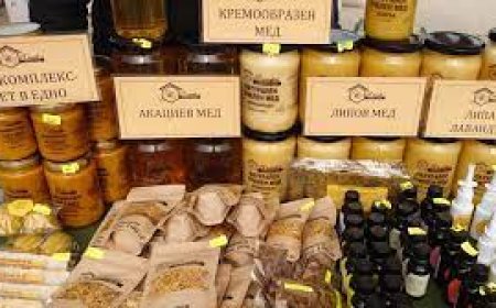 Изложението „Пчеломания“ се открива на 28 март в Добрич