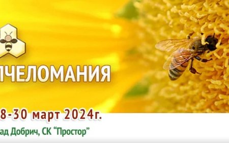 „Пчеломания“ се открива днес в Добрич