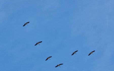 Какво се случи в Добричка област през изминалата седмица?