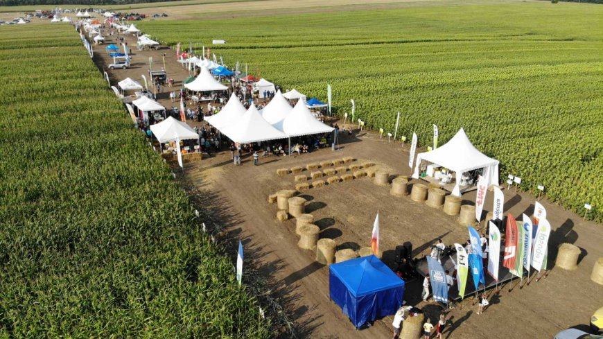 Добруджанският съюз на зърнопроизводителите се подготвя за Ден на полето за трета поредна година
