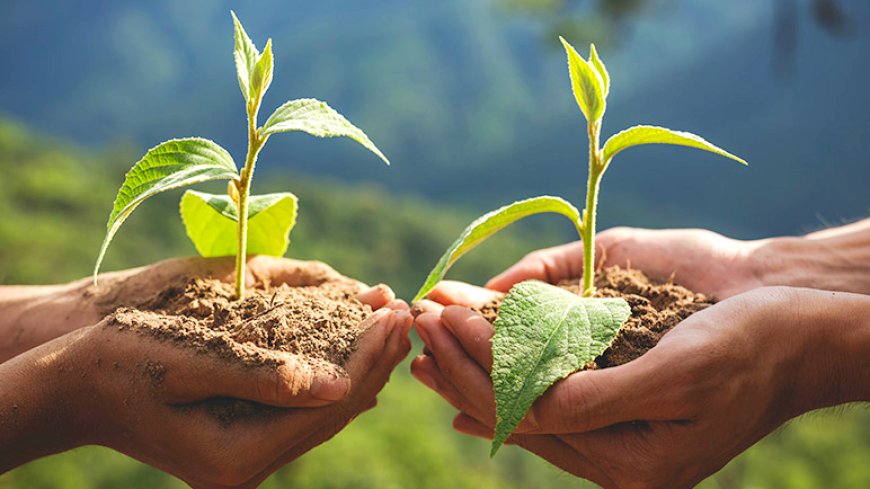 Европа Директно Добрич и Младежки център Добрич призовават: „Да засадим дърво!"
