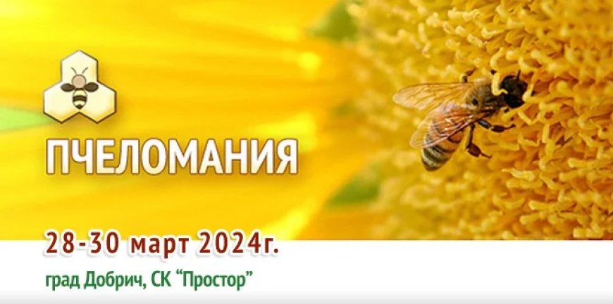 „Пчеломания“ се открива днес в Добрич