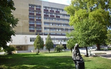55-годишен водач е с опасност за живота след катастрофа между селата Могилище и Вранино