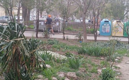 Общинската полиция наложи глоба за лепене на реклами на нерегламентирани места