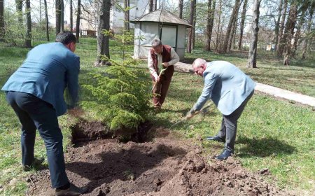 Горски, общинари, полицаи и пожарникари залесиха фиданки в ДГС-Генерал Тошево