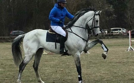 Турнир по конен спорт се провежда утре в с. Кардам