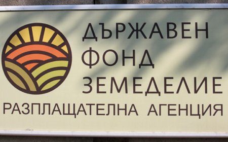 До 9 април земеделските стопани могат да кандидатстват по държавната помощ заради войната в Украйна