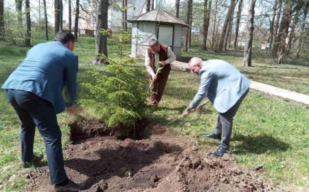 Какво се случи в Добричка област през изминалата седмица?
