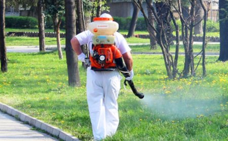 Ще обработват срещу кърлежи детските площадки и градския парк на Добрич