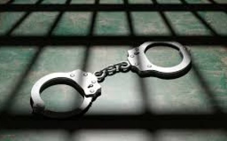 Четирима добричлии се биха до Хуманитарна гимназия, 21-годишен е със счупена ръка след мелето
