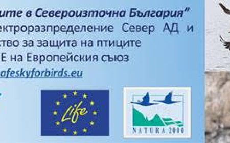 ЕРП Север и Българско дружество за защита на птиците успешно приключиха дейностите по поставяне на гнездилки за синявица и червенонога ветрушка