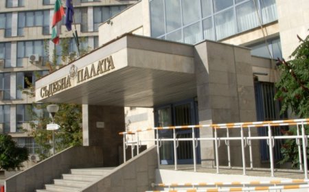 Окръжният съд в Добрич остави в ареста обвинен за противозаконно подпомагане на чужденци да преминават и пребивават в страната ни