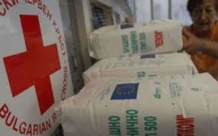 Хранителни пакети ще получат 1009 нуждаещи се от Община Добричка