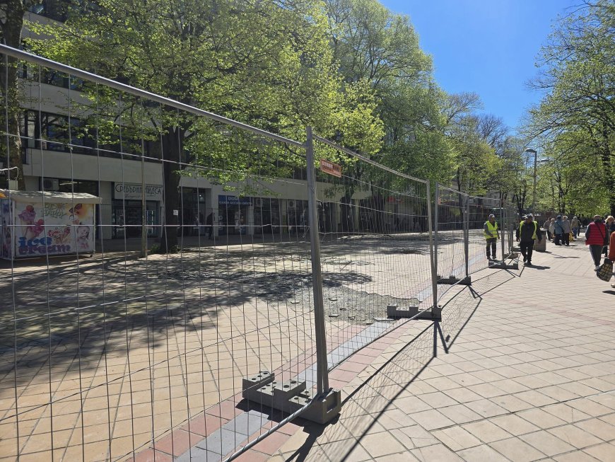 Община Добрич: След ремонта на централната зона,  дърветата ще бъдат повече