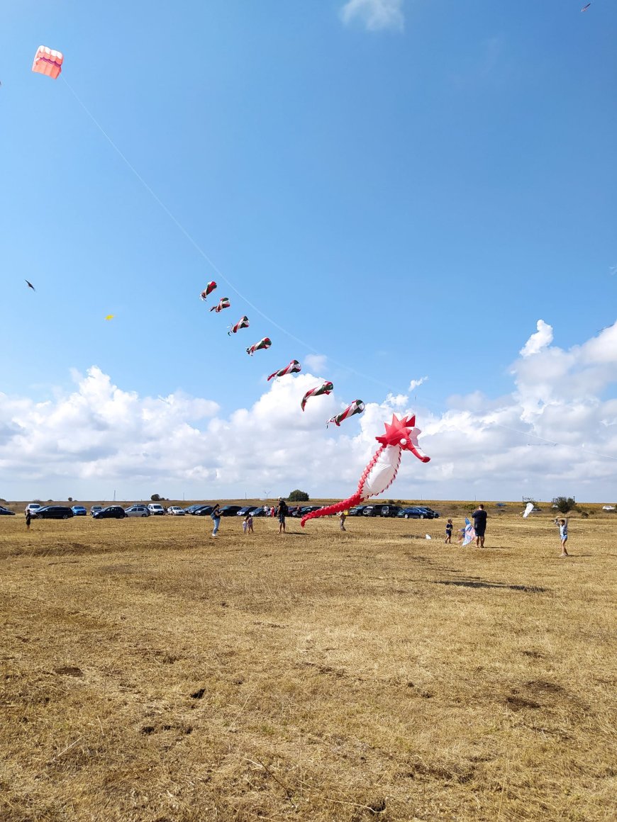 Първият пилот в България на Revolution kite ще представи уменията си на „Фестивала на хвърчилата“ в Шабла
