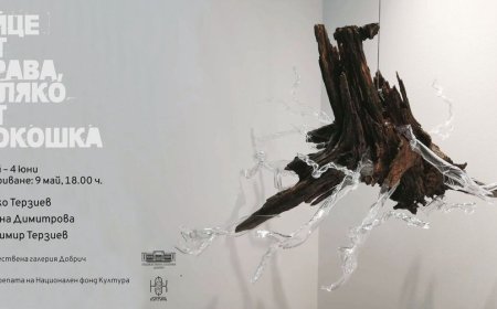 Изложбата “Яйце от крава, мляко от кокошка“ ще гостува в Добрич