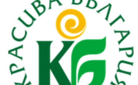 Одобриха ремонт в сградата на Община Шабла по Проект „Красива България“