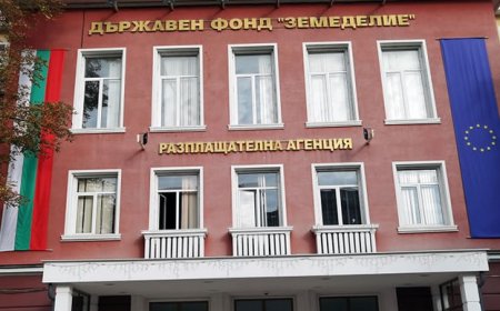 Над 50 000 стопани получиха над  290 млн. лв. по украинската помощ седмица по-рано