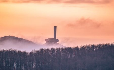 Какво се случи в Добричка област през изминалата седмица?