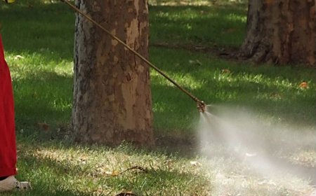 На 22 май ще пръскат срещу кърлежи в Добрич