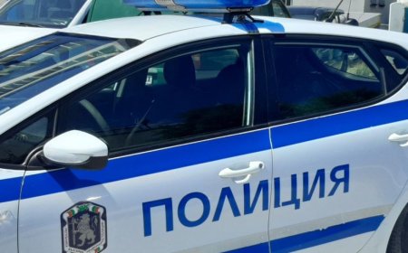66-годишна шофьорка заспа зад волана и се блъсна в крайпътно дърво
