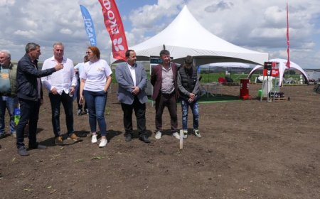 Състоянието на посевите с пшеница и ечемик в страната е добро