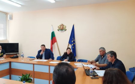 Разработват Регионална програма по заетост за област Добрич за 2024 г.