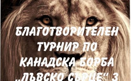 Благотворителен турнир „Лъвско сърце“ 3 ще се състои в Добрич
