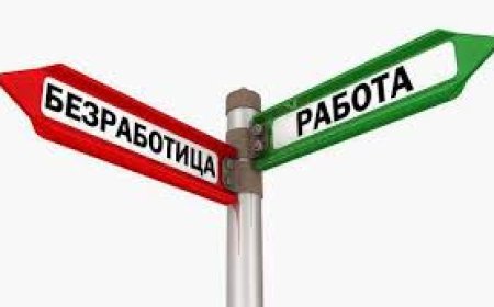 838 безработни в област Добрич са започнали работа през април 2024 г.