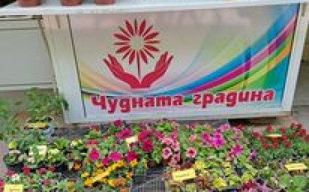 „Чудната градина“ с два нови проекта за 300 хил.лв.