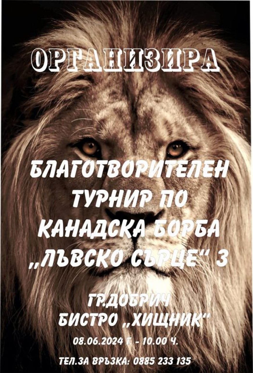 Благотворителен турнир „Лъвско сърце“ 3 ще се състои в Добрич