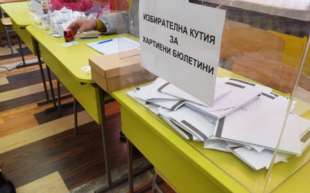 Рекордно ниска избирателна активност за област Добрич – 28,16%