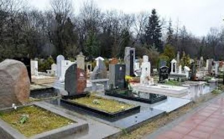 Безплатен транспорт до обед до гробищен парк в Добрич на Спасовден