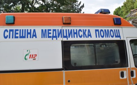Автобус с деца, пътуващи от Добрич за Копривщица катастрофира край търговищко село