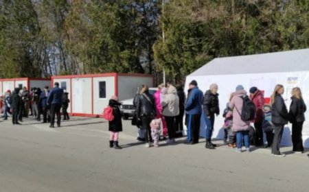 Изплатиха над 9 млн. лв. по Програмата за хуманитарно подпомагане на разселени лица от Украйна