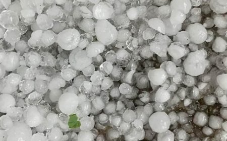 МЗХ стартира процедура за изграждане на 24 нови ракетни площадки