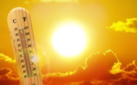 Жълт код за жега е обявен в цялата страна за днес