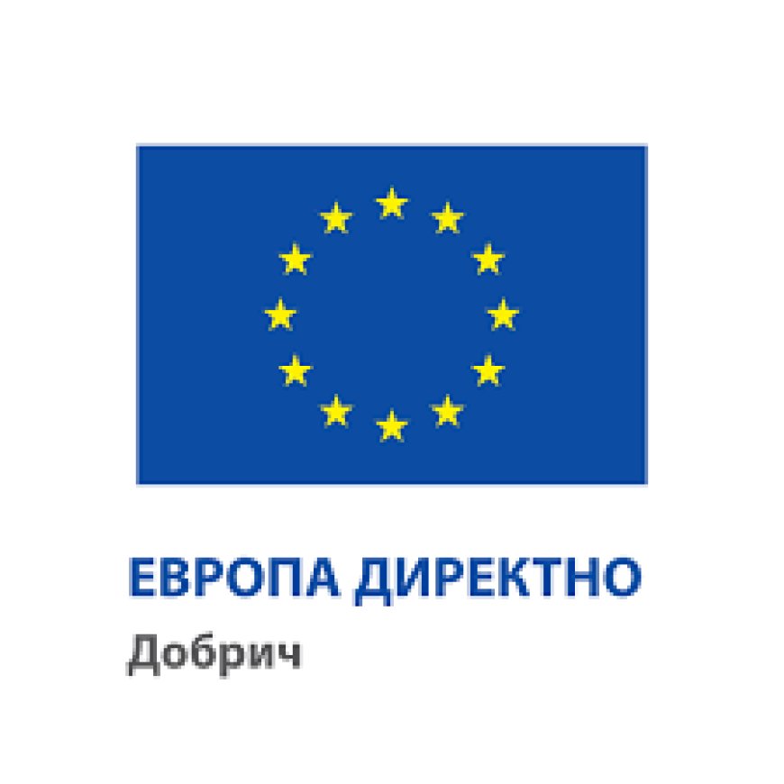36 участници се включиха в организирания от Европа директно Добрич уебинар, посветен на изкуствения интелект