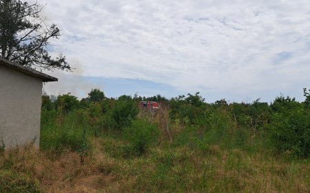 Около 1000 декара сухи треви изгоряха край добричкото село Победа