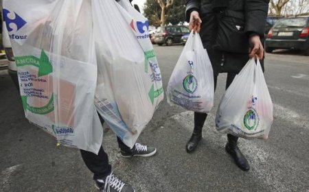 3 юли- Международен  ден без найлонови торбички