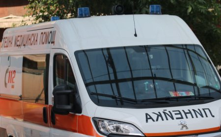 19-годишен шофьор загина след удар в дърво