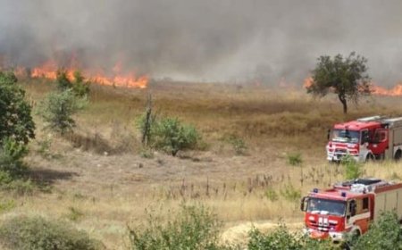 105 пожара са станали в Добричка област от началото на юли