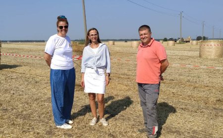 Царевичен лабиринт ще е сред изненадите за децата в третото издание на „Ден на полето“