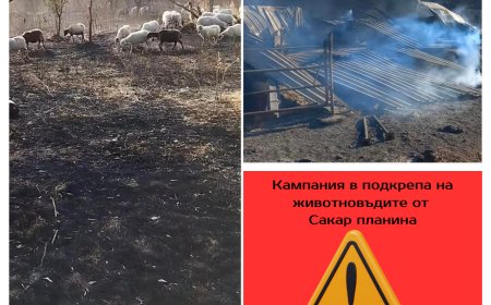 Земеделци обявяват пълна готовност за подкрепа при борбата с огъня