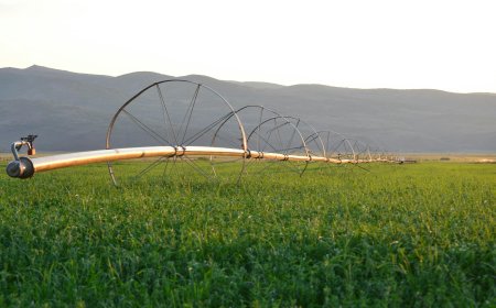 Химера ли остава поливното земеделие в България